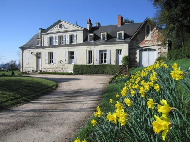 Chambres D'Hotes Le Chateau De La Plante Thure Luaran gambar