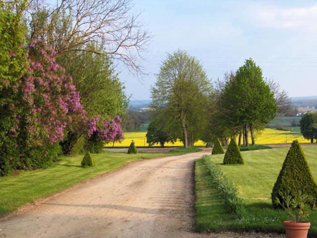 Chambres D'Hotes Le Chateau De La Plante Thure Luaran gambar
